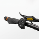 RedSky Arrow Dual Motor Electric Scooter