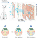 Face Heat Steamer with Blackhead Remover Tools Kit - RedSky Medical