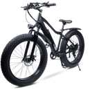 Redsky Fat Bike - RedSky Medical