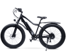 Redsky Fat Bike - RedSky Medical