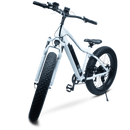 Redsky Fat Bike - RedSky Medical